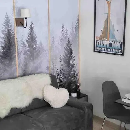 Daire Le Brevent Studio De Charme Au Pied Des Pistes *